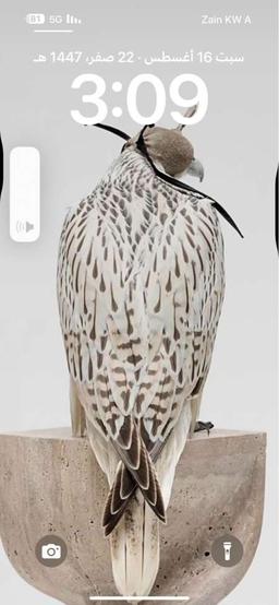 ابو سالم العجمي